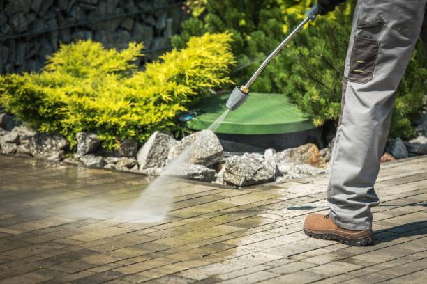 Boat and Dock Cleaning